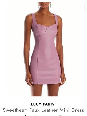 Lucy Paris Mauve Faux Leather Sweetheart Mini Dress